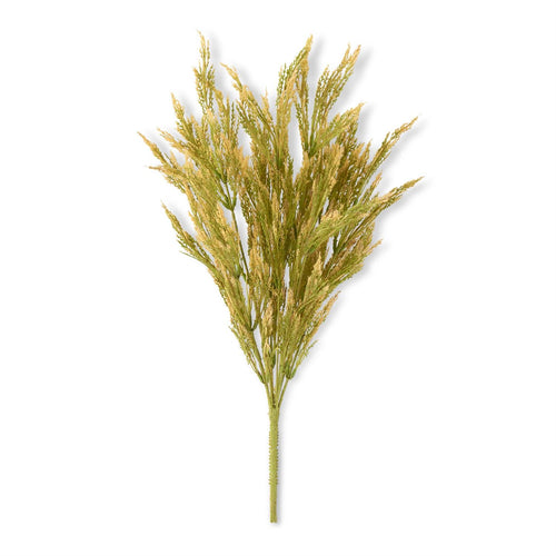 Green Wheat Bush