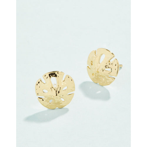 SP Sand Dollar Stud Earring