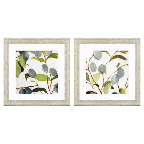 Olive Branches Art