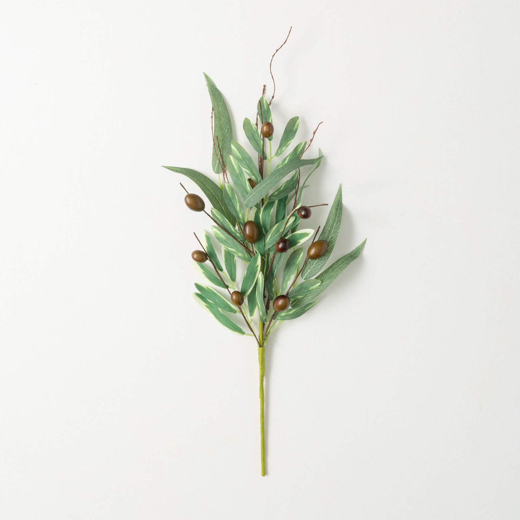 Olive Leaf Pick