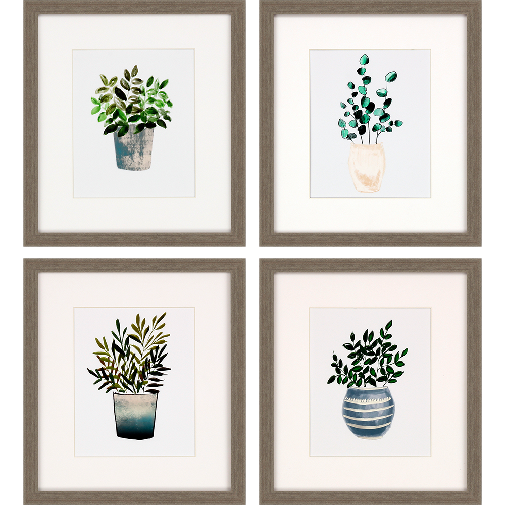 Houseplants